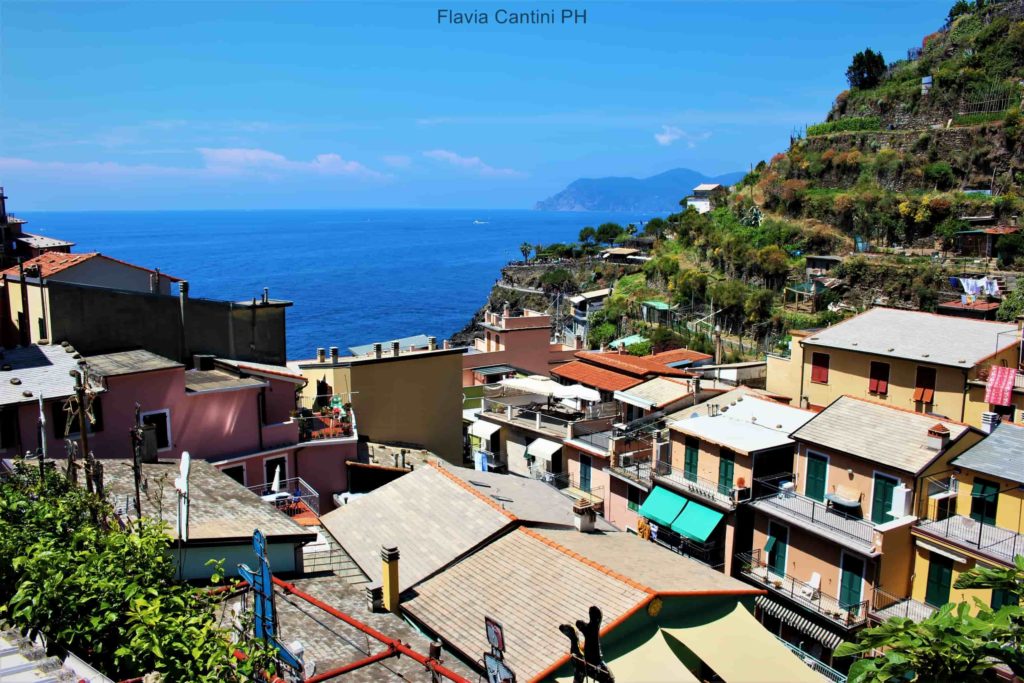 manarola cosa vedere