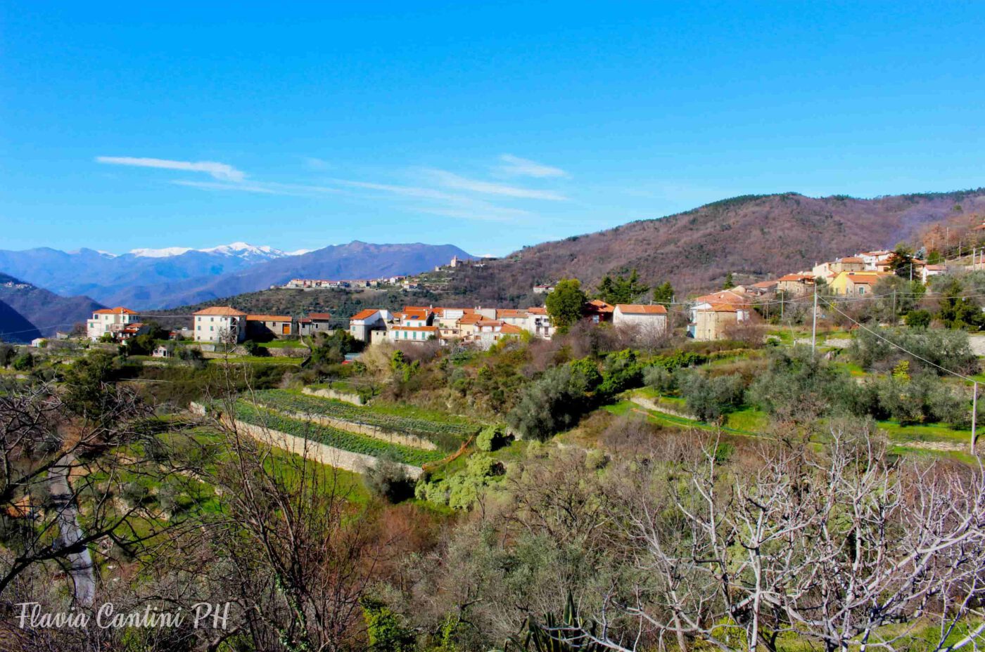 Onzo (Albenga): tra gli ulivi e il verde di Liguria