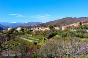 Onzo (Albenga): tra gli ulivi e il verde di Liguria