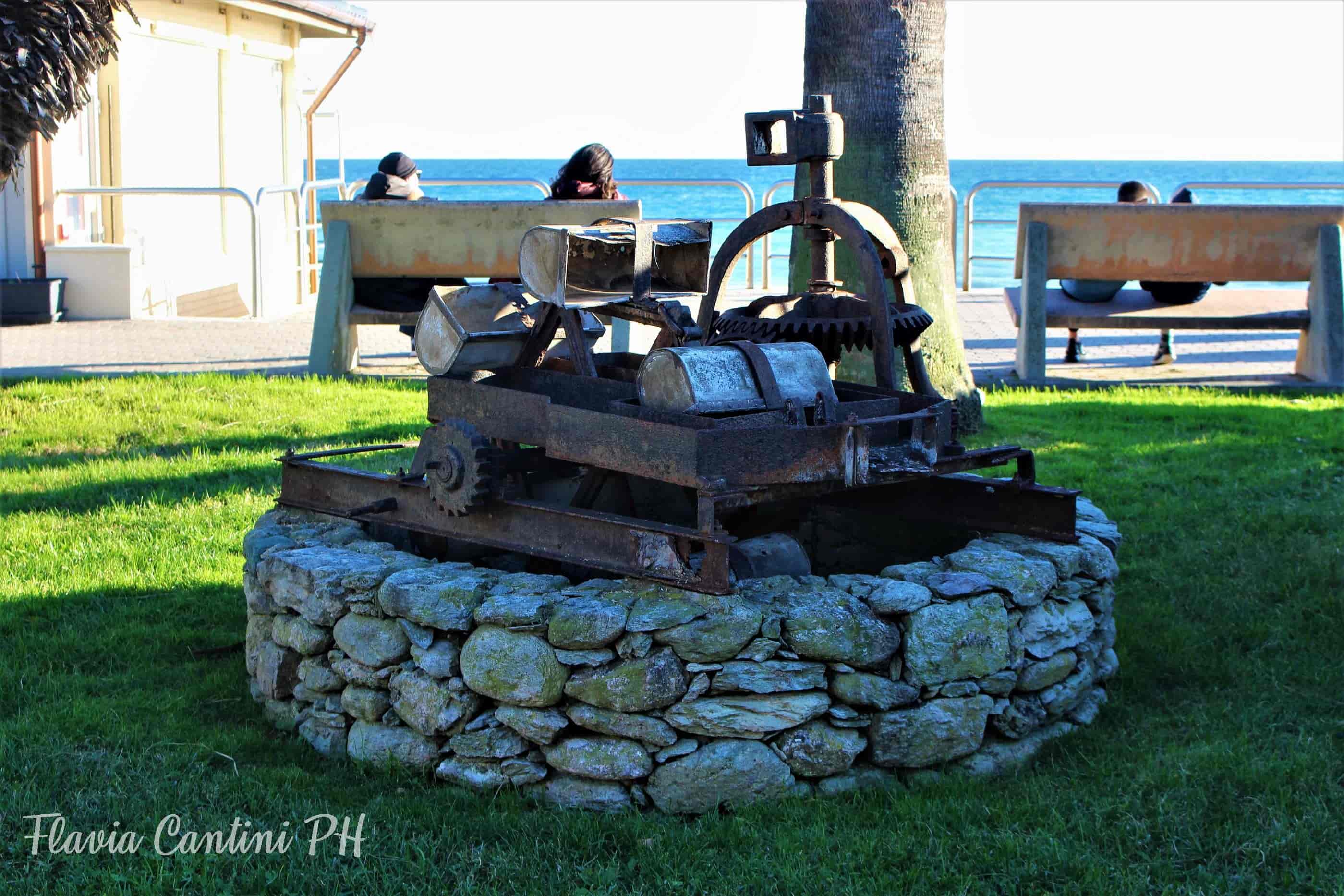 pietaligurecosavedere Flavia Cantini