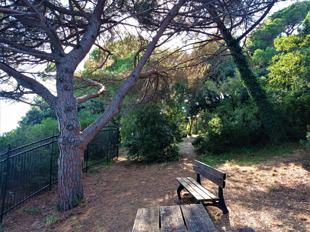 celle ligure
