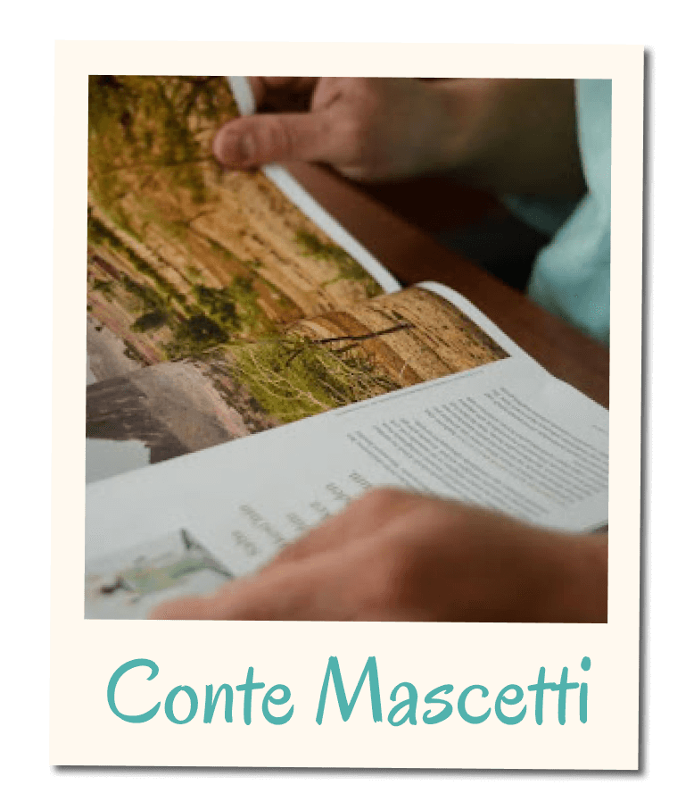 Card portfolio Conte Mascetti con fotografia ravvicinata di una rivista aperta, mentre viene sfogliata, che mostra immagini e testo editoriale